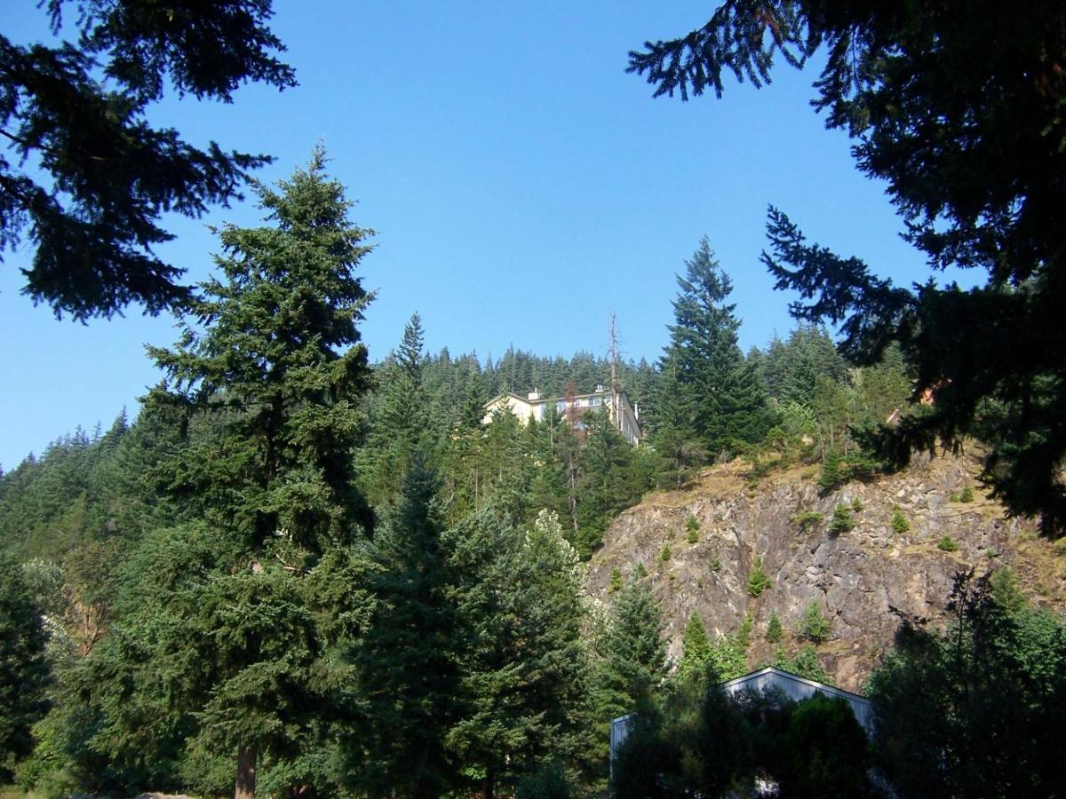 High Hopes Bed And Breakfast Esterno foto