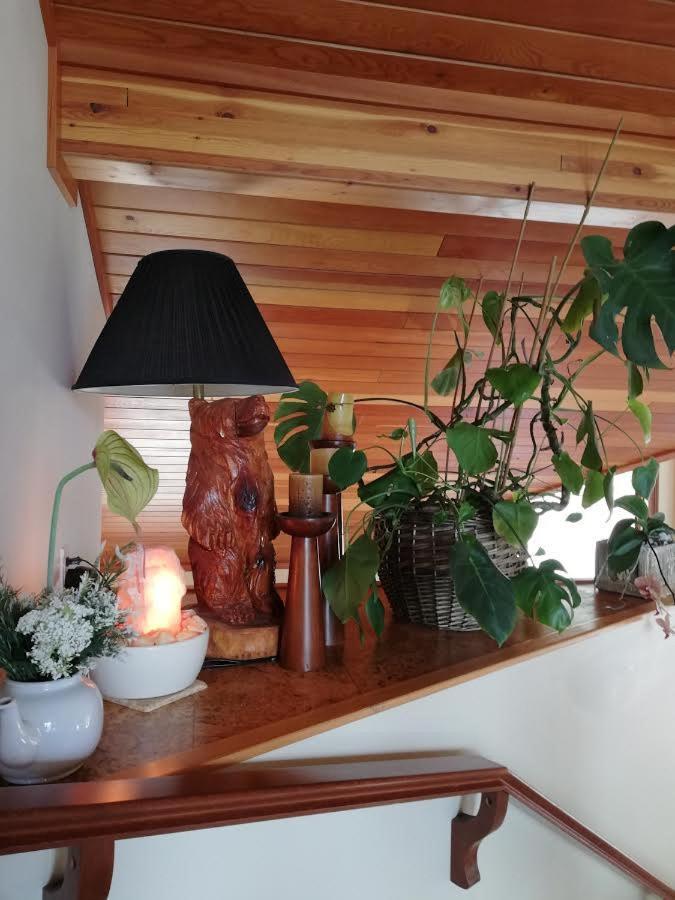 High Hopes Bed And Breakfast Esterno foto